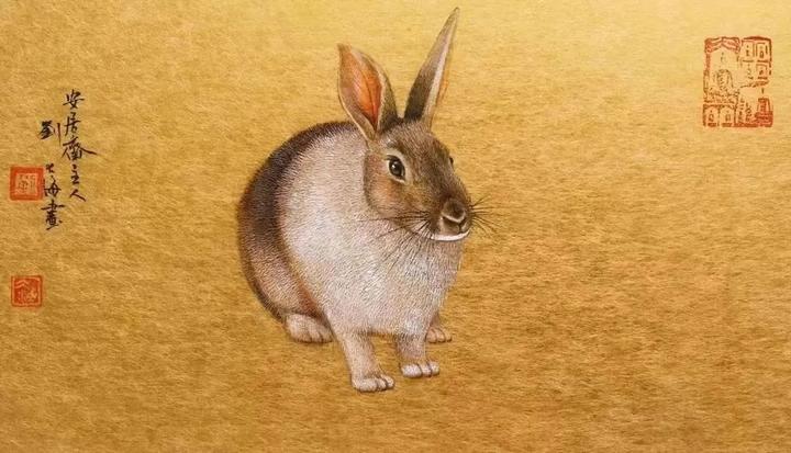 癸卯年十二生肖运势指南 知乎