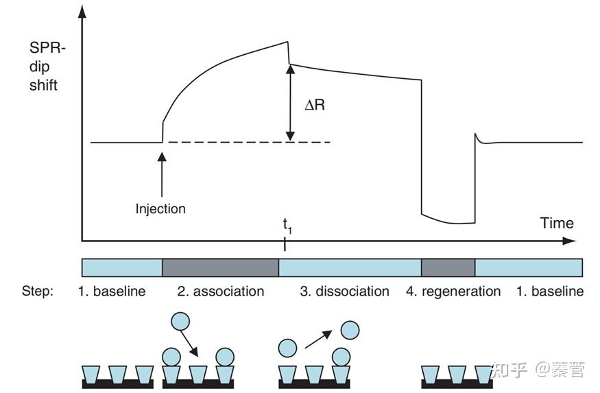 【分析技术】SPR 表面等离子共振（Surface Plasmon Resonance）的基本原理与应用 - 知乎