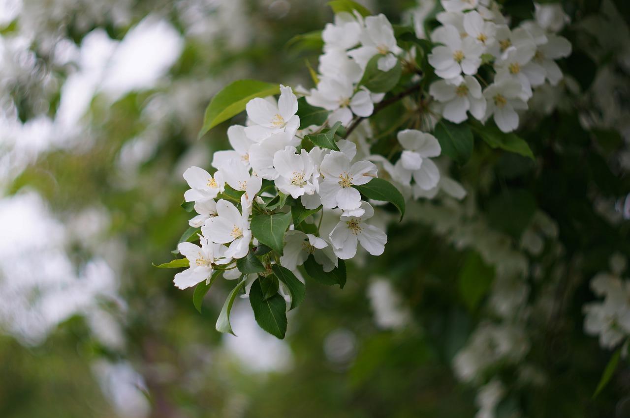 流沙杏小区旁边有什么