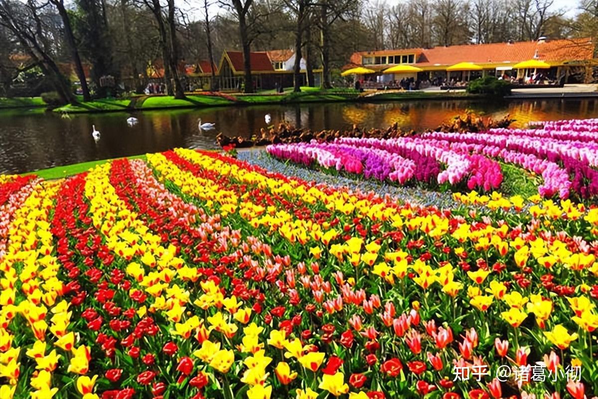 世界第一个资本主义国家荷兰，为何会盛极而衰？又为何如此仇俄？ - 知乎