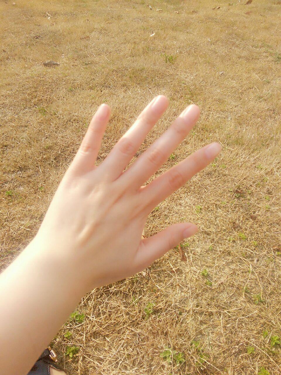 女生手很大是什么样的体验不是夸张是真实的较男生来讲