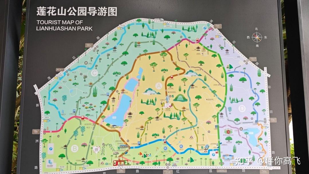 莲花山公园(深圳市)有什么旅游攻略?