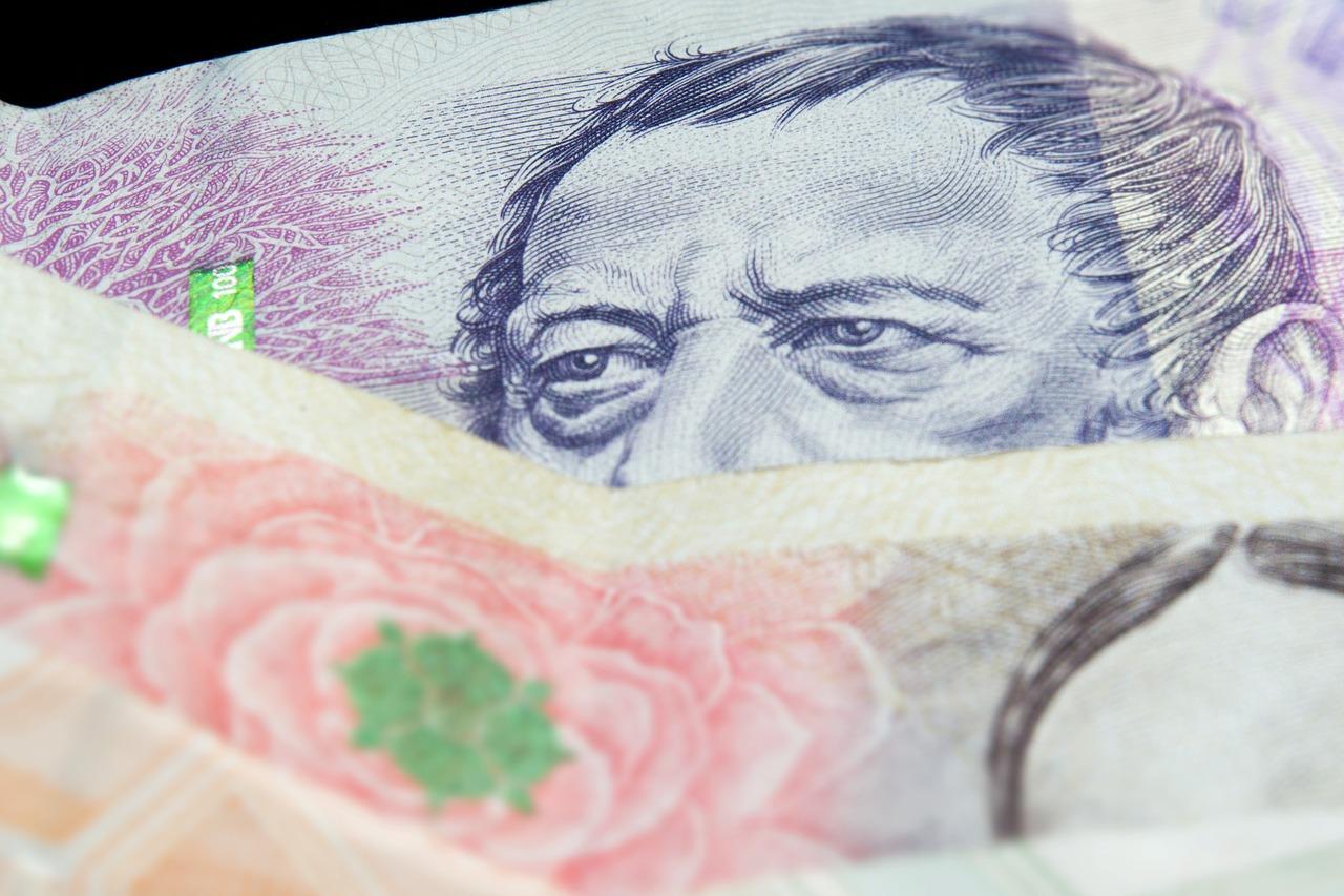 2. 针对金钱叶固定