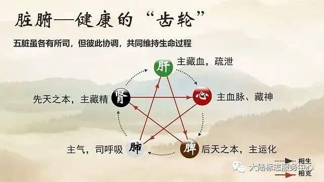 五脏六腑之和阴阳五行关系图。 - 知乎