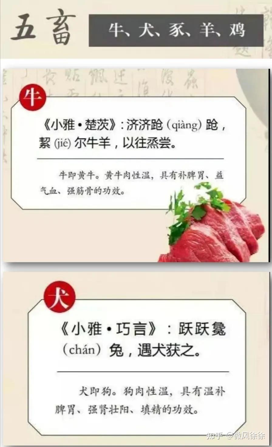 中医养生 | 五谷、五菜、五果、五畜-养生 - 知乎