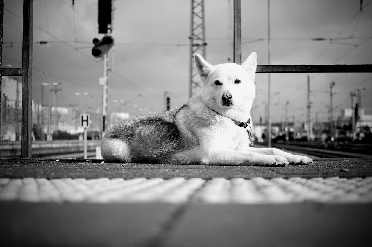 2. 地段优势一览