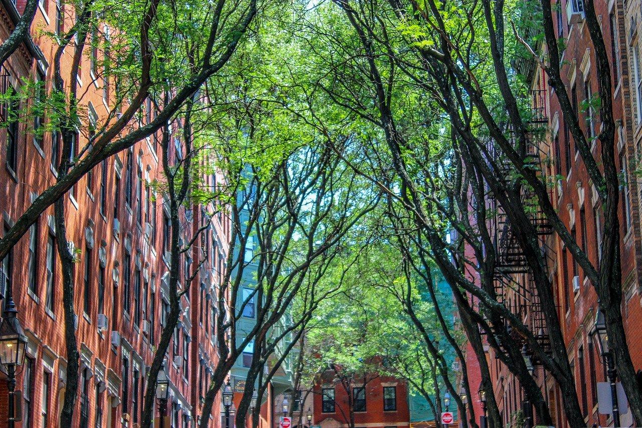 墙面什么颜色凉快