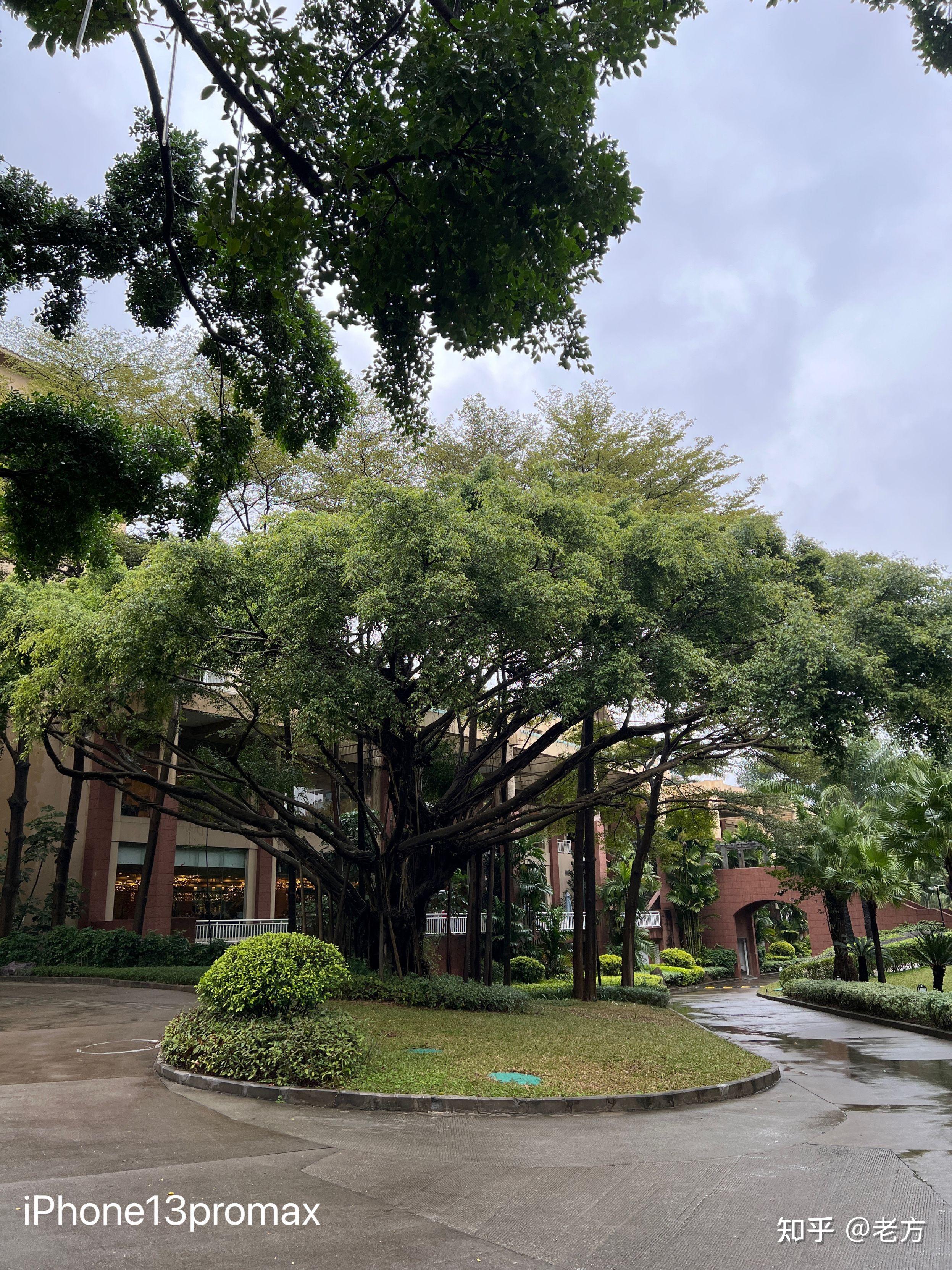 收購iPhone13Promax