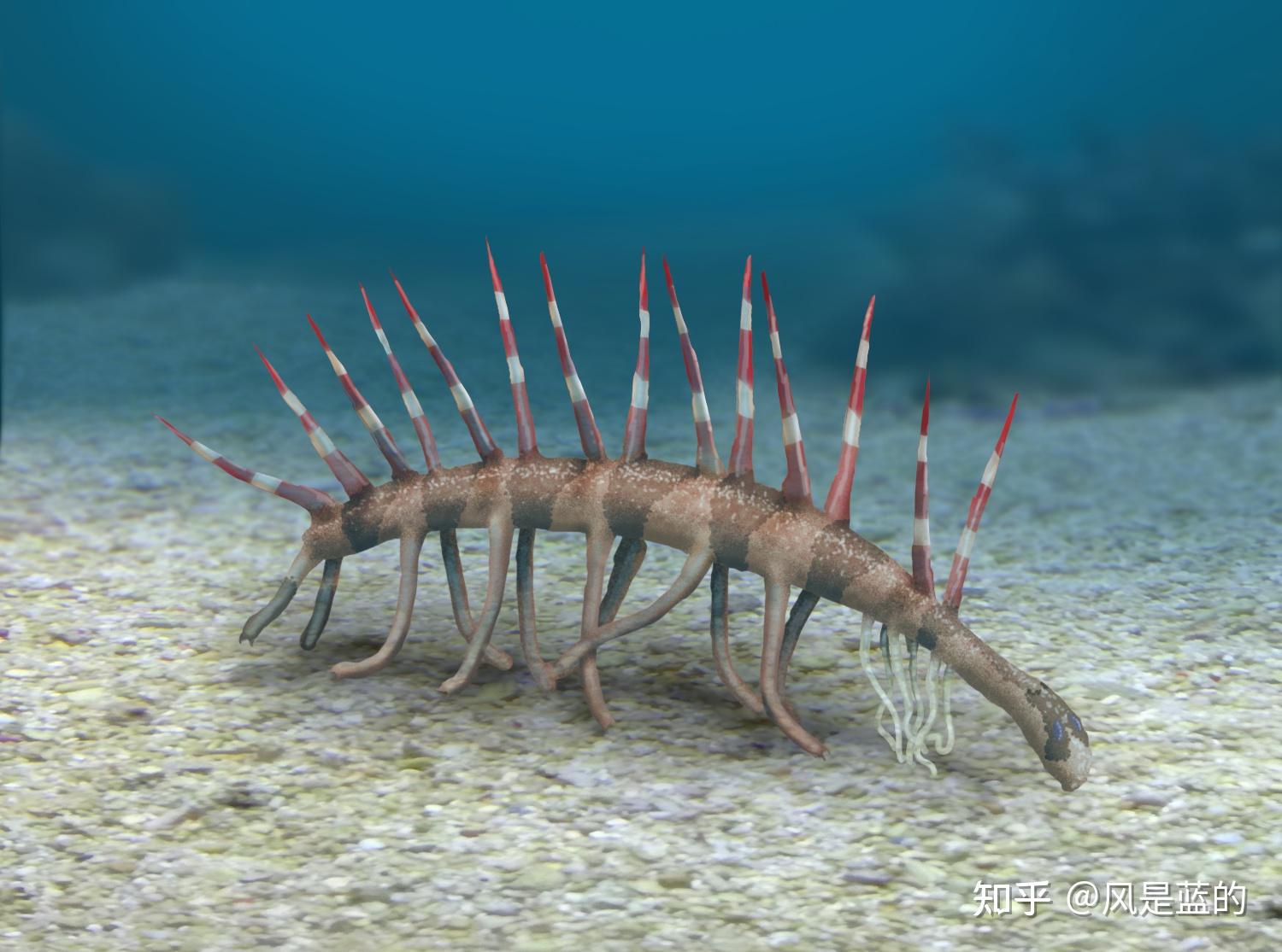 叶足动物门 Lobopodia的梳理 - 知乎