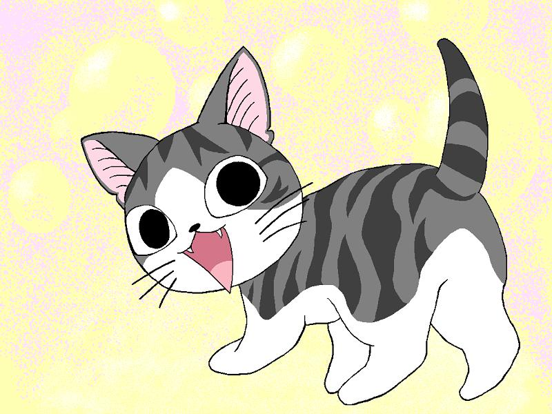 狸花猫可以漂亮到什么程度