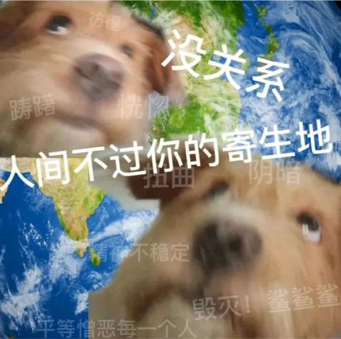 有哪些笑出猪叫的“疯批语录”？ - 知乎