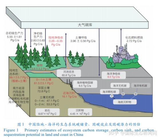中国生态系统碳汇功能提升的技术途径:基于自然解决方案 - 知乎