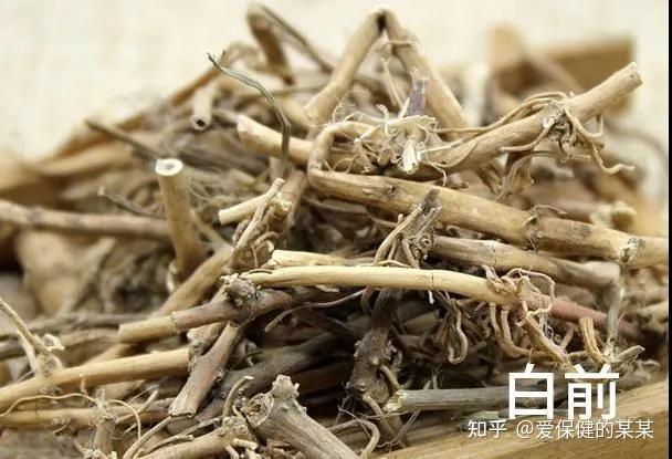 一起来看化痰止咳平喘药——白前 - 知乎