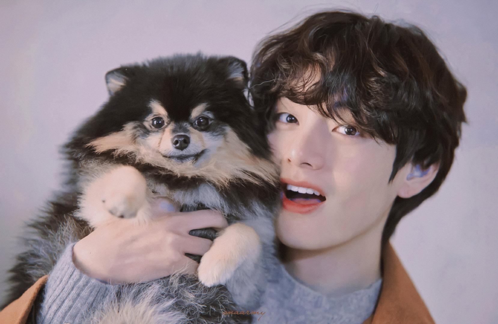 超级喜欢黑发金泰亨大家可以分享一些没有水印的图片吗收藏