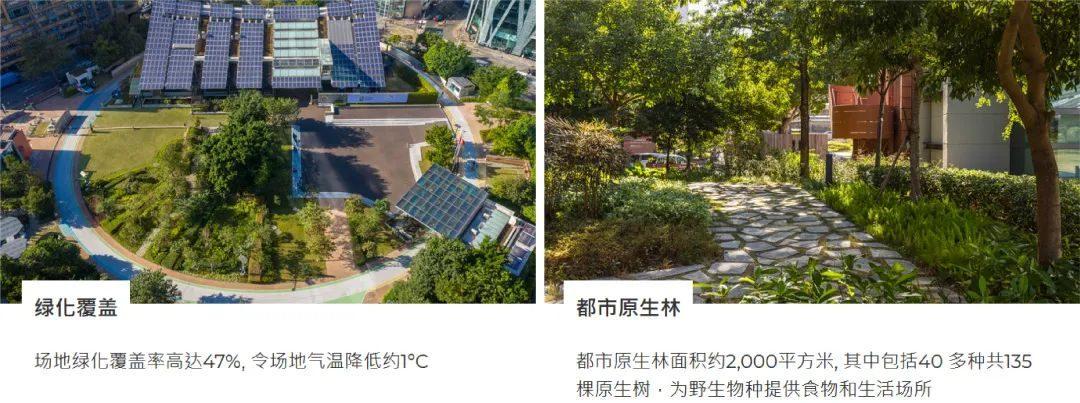 【双碳案例赏析】香港建造业零碳天地 - 知乎