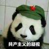 梦醒时分