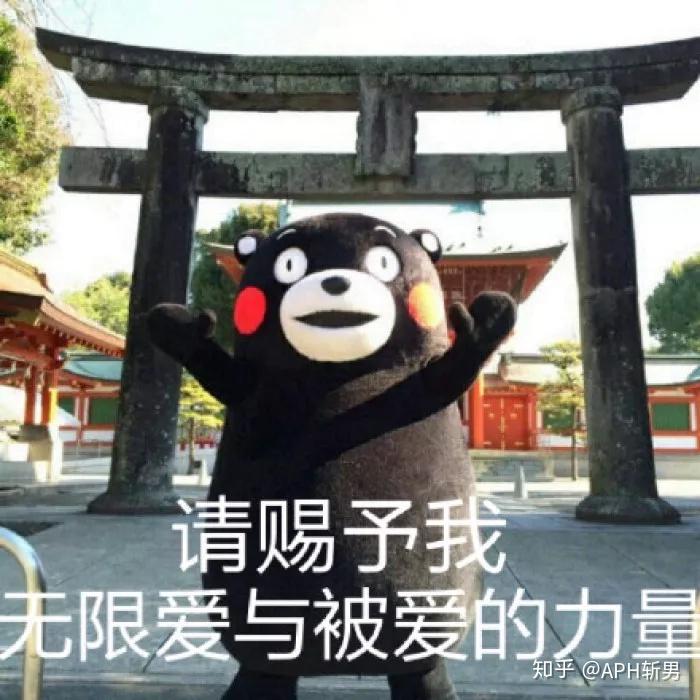呆萌指数爆表,熊系男神要这么撩 - 知乎