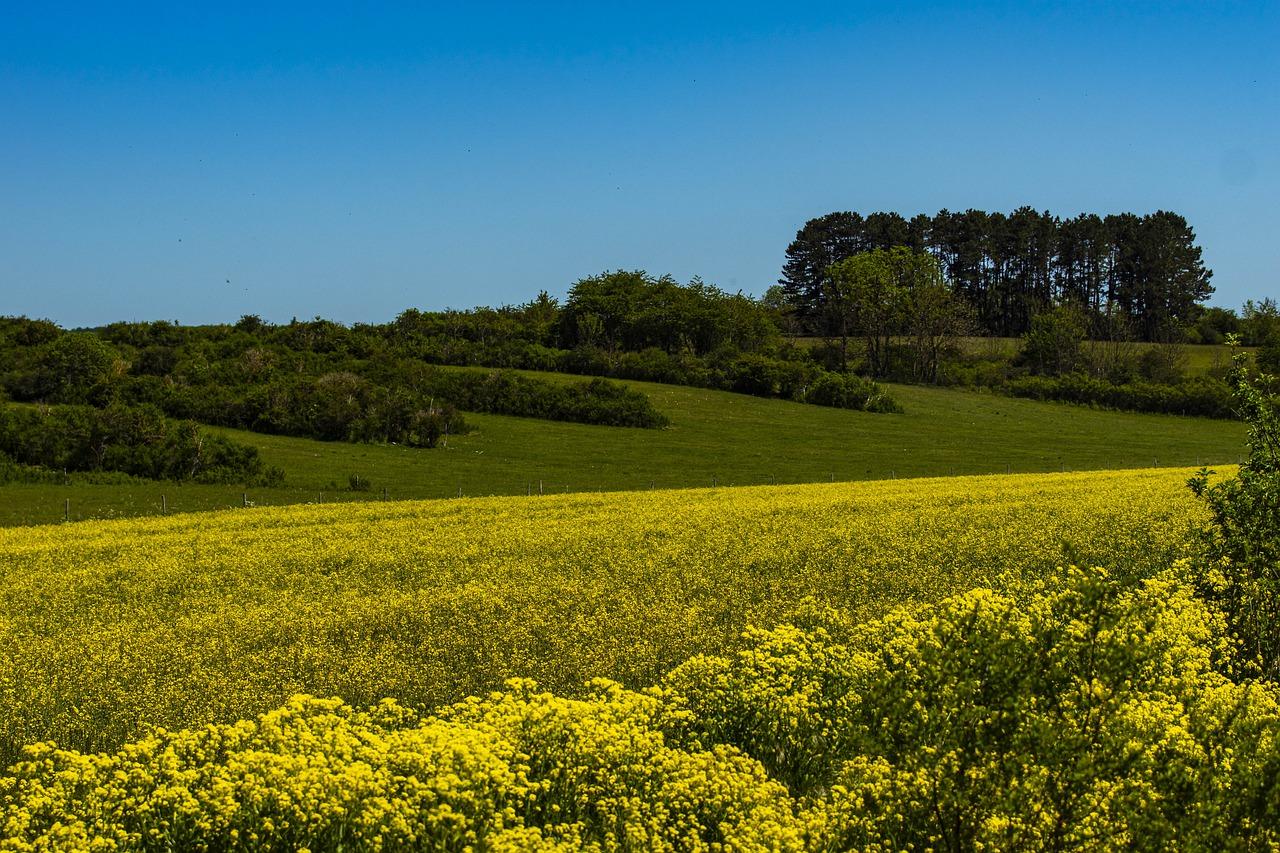 4. 气候影响分析