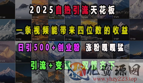 2025自热引流天花板，一条视频能带来四位数的收益，引流+变现双管齐下，日引500+创业粉，涨粉嘎嘎猛