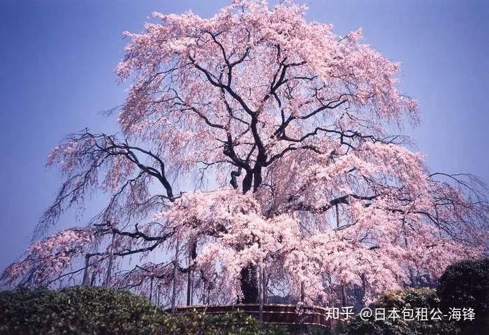 做朋友圈最靓的崽——日本二次元圣地巡礼打卡推荐！ - 知乎