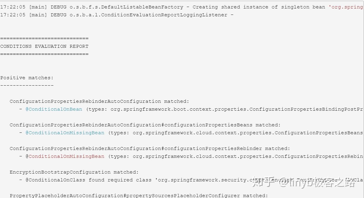 conditions evaluation report spring boot