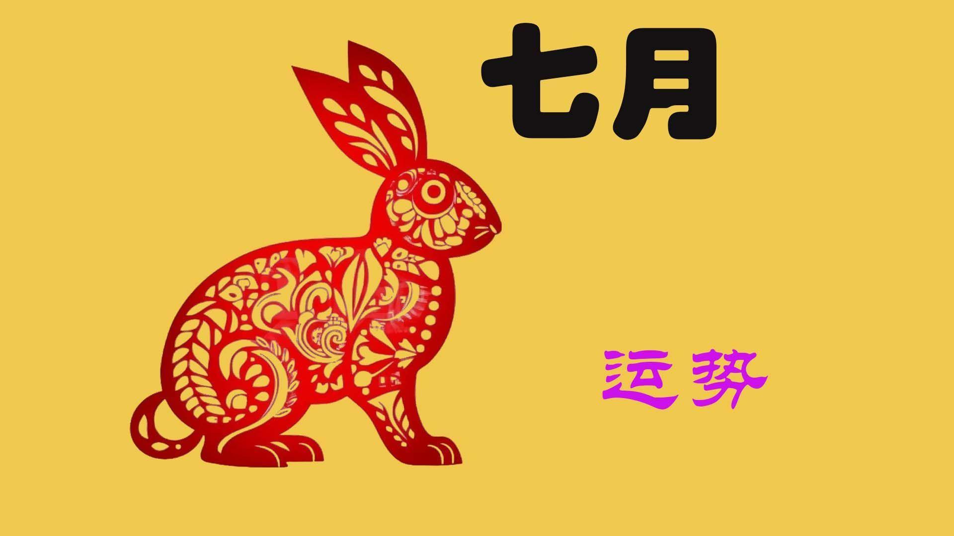 怎么看生肖兔的运势(怎么看生肖兔的运势和财运)