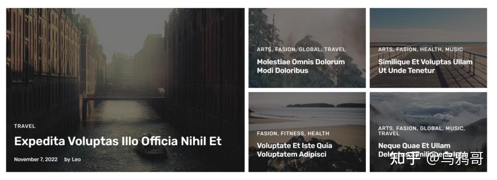 有哪些好看的极简的WordPress主题?插图5 有哪些好看的极简的WordPress主题?插图5