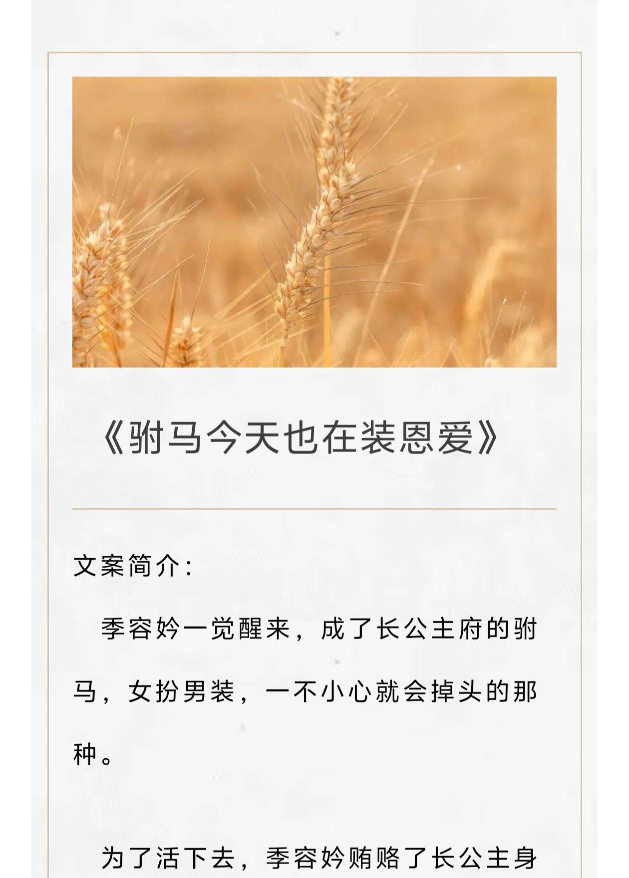 公主校园恋爱小说