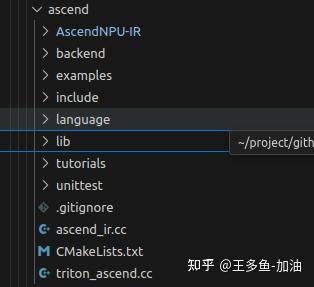 ascend 学习记录1-AscendNPU-IR 和triton-ascend 的区别 - 知乎