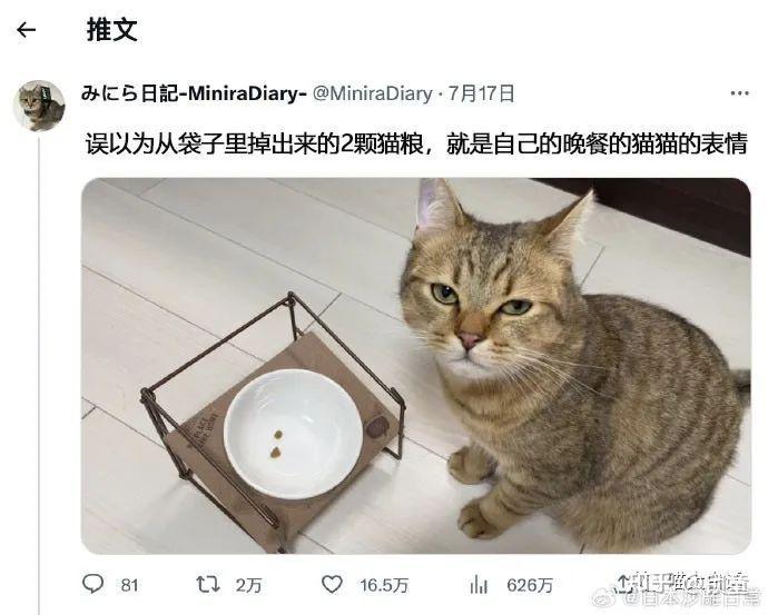 保存下meme(6) - 知乎