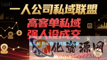 一人公司私域联盟，高客单私域，强人设成交，建私域 搞发售 广结盟 造势能