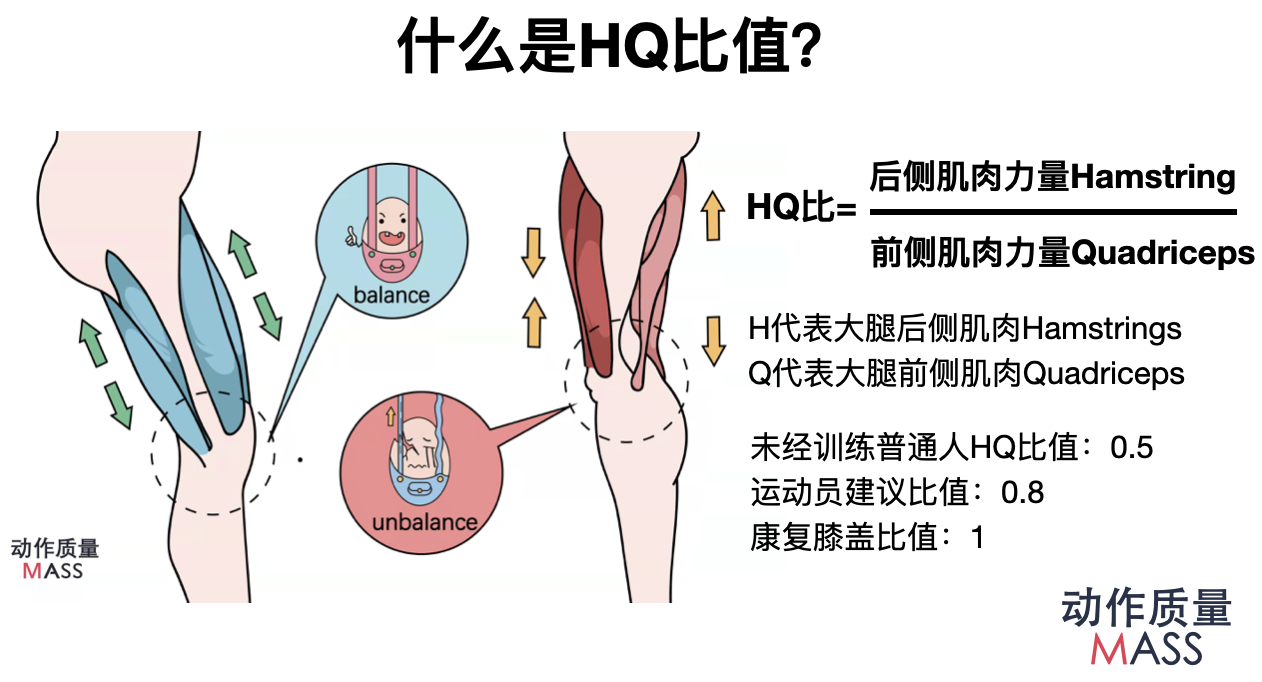 膝盖康复训练容易忽略的重点问题？ - 知乎