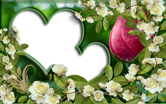 3. 顶级配套设施