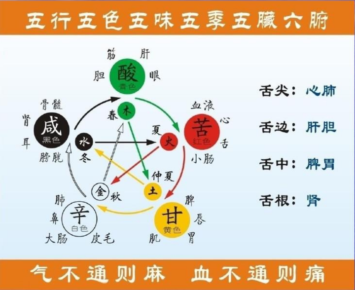 五行五脏五味五色五官五情五季的辩证关系 - 知乎