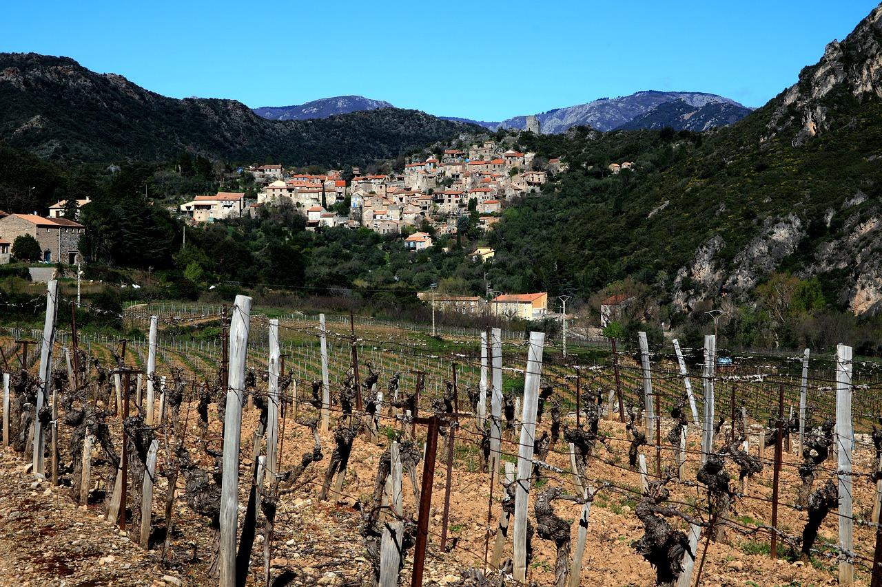 规划李哥庄哪里诉迁