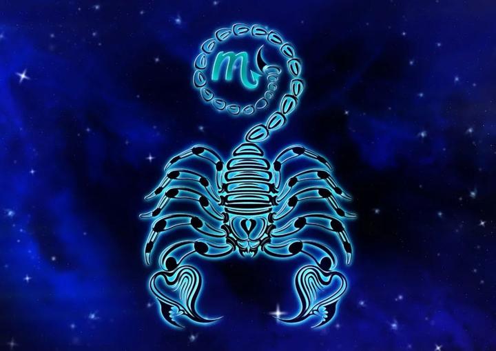 黄道十二星座之   天蝎座