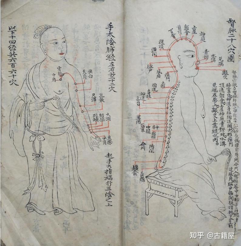 宗营卫三气图,任督解,任脉二十四穴图,十二经脉《经络图要》 - 知乎