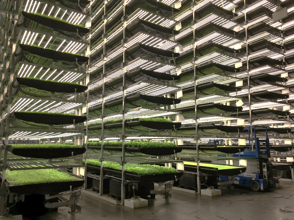 什么是vertical farming 垂直农业? - 知乎