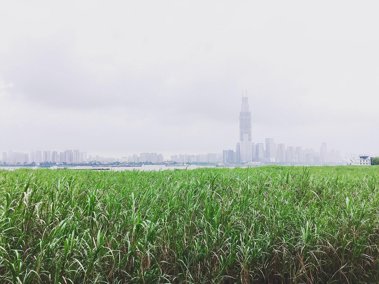 宜昌装修材料比价