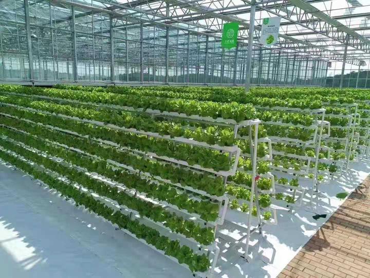 无土栽培垂直农业-在有限的空间种植更多的作物 - 知乎
