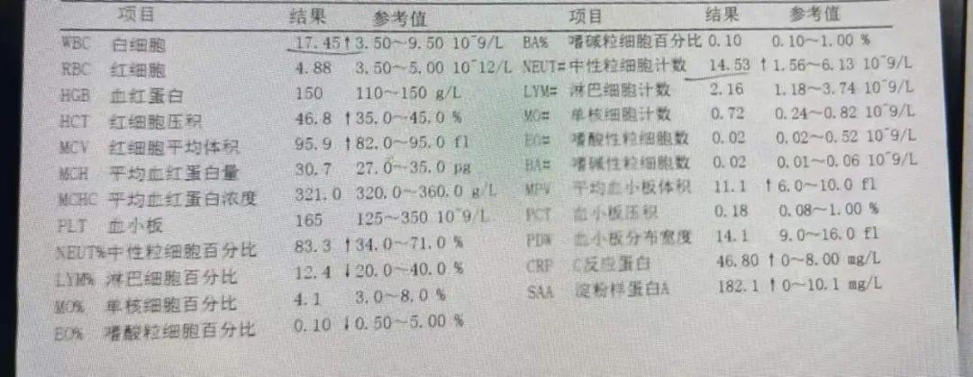 c反应蛋白和白细胞的关系是什么?为什么会出现c高白细胞正常的情况?