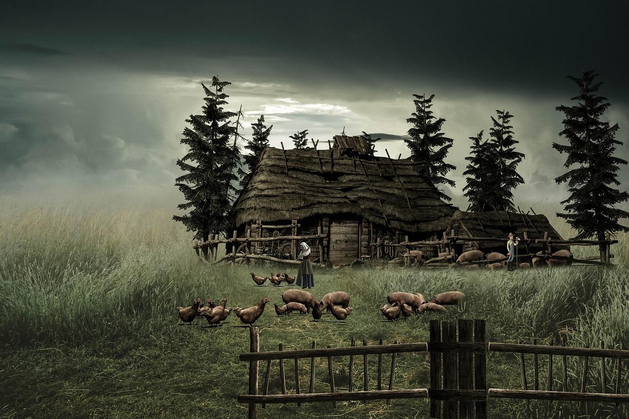 上海哪里可以租房养鸡