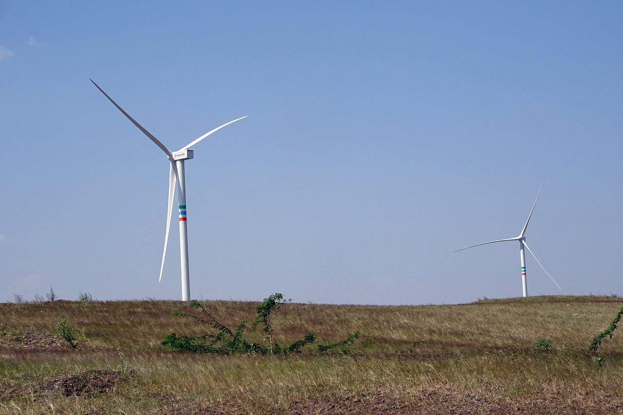 3. 叶片尺寸揭秘