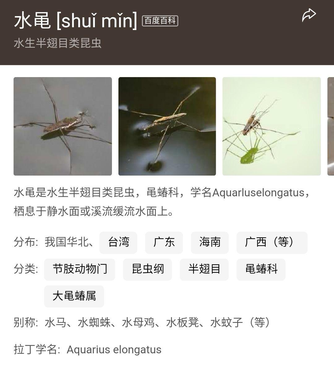 请问「水黾」的「黾」字读音为何?