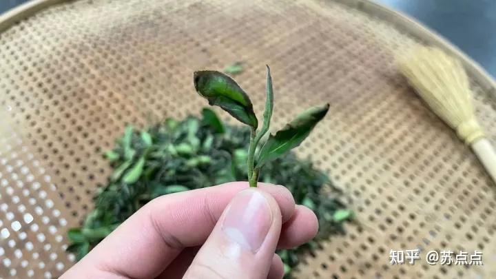 不懂茶应该怎么买茶？  第38张