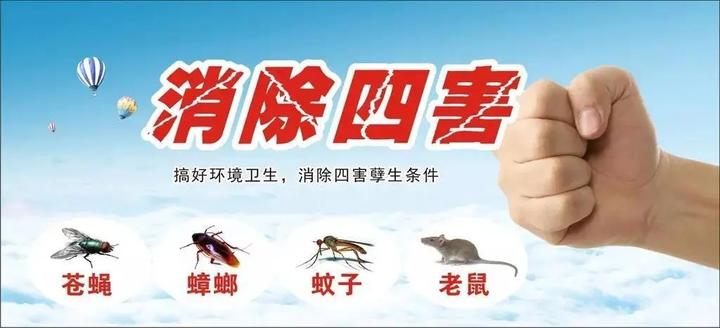 四害消杀？四害如何消杀？蟑螂消杀？消杀是什么意思？ - 知乎