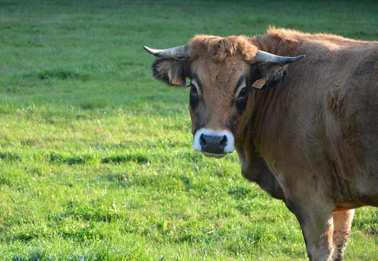 4. 舒适度体验分享