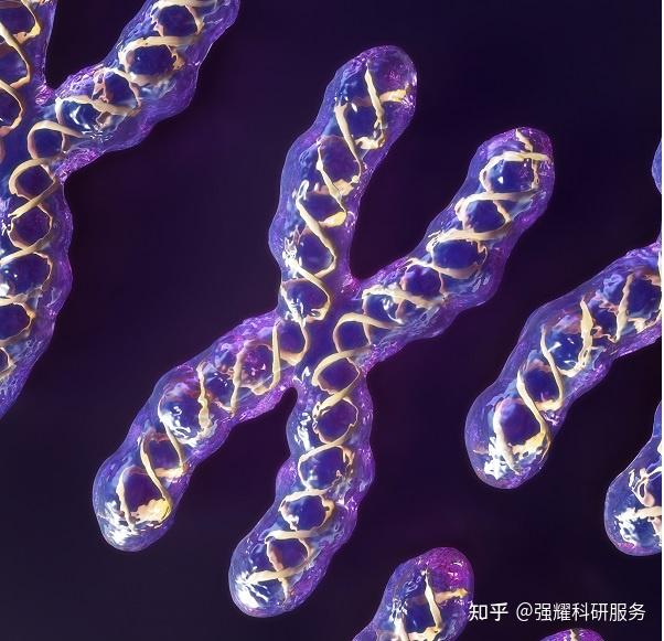 荧光标记法原理是什么 - 知乎