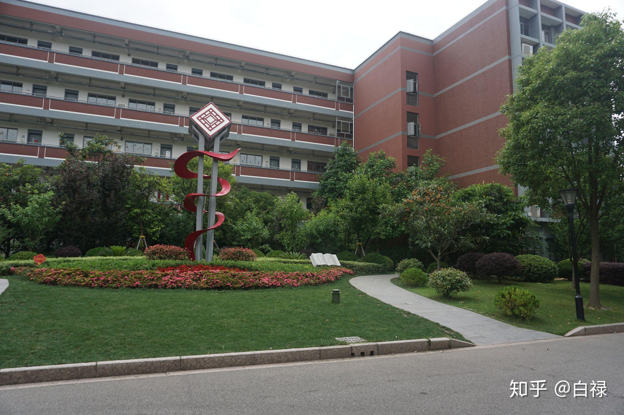 在上海市进才中学北校读书是一种什么样的体验?