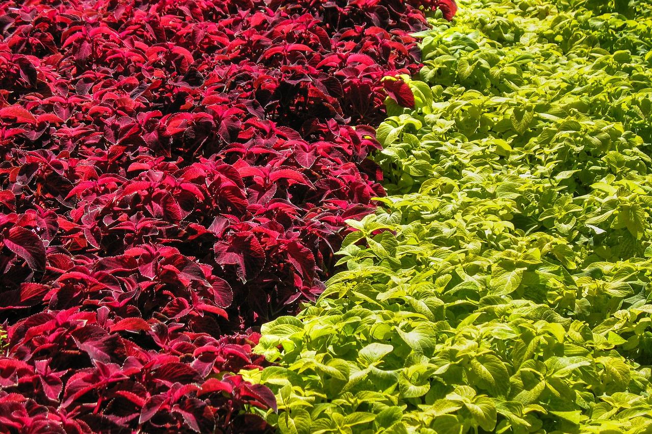 夏季衣服怎么洗